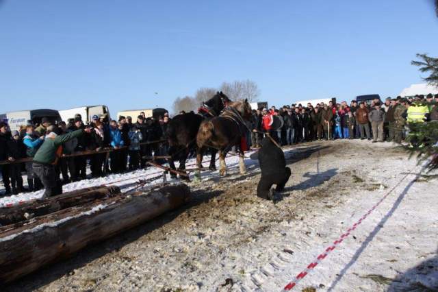 Vida Vladimír - ťažký ťah